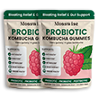 Probiotic Kombucha Gummy
