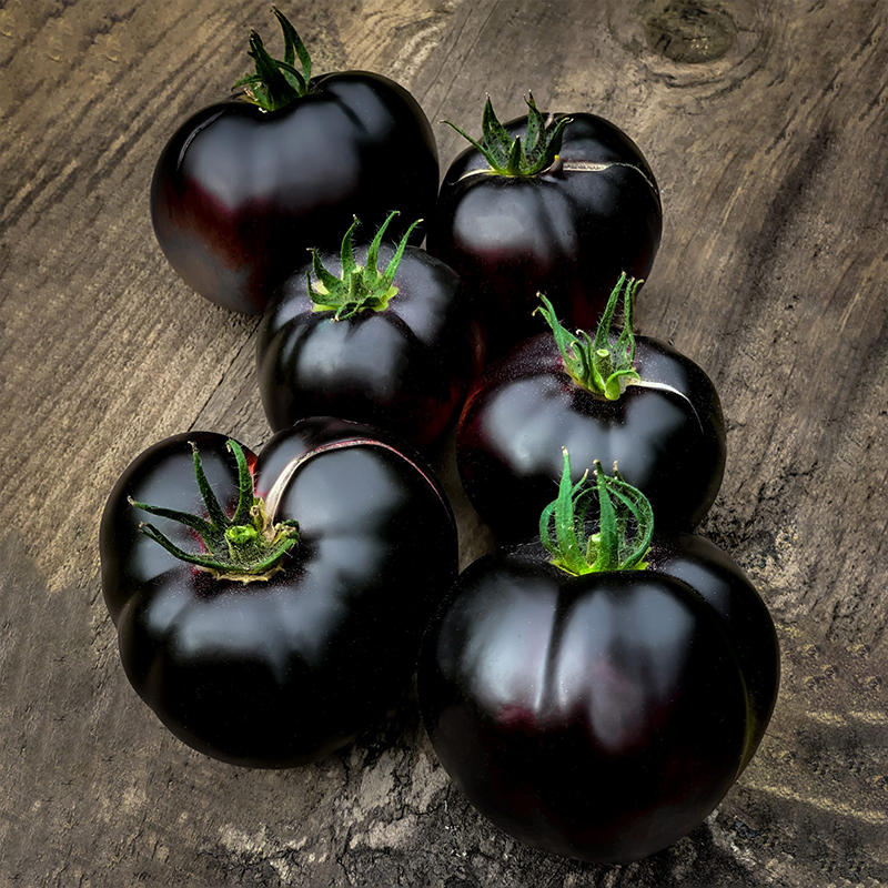🍅Tomatenpflanzen