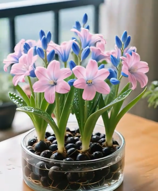 🌼Fragrant Freesia Bulbs – A Burst of Color and Scent in Every Bloom