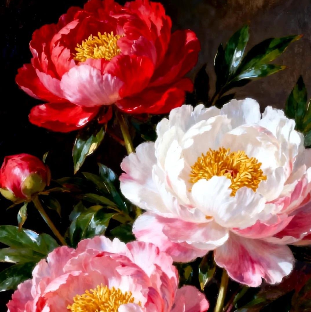 ✨ Pfingstrosensamen mit üppiger Blüte – Kräftige Farben & Hohe Keimfähigkeit!