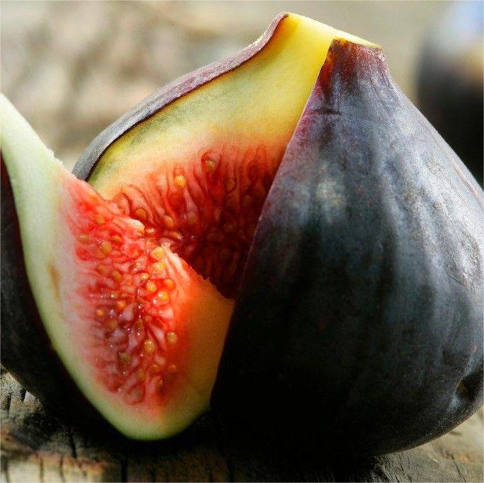 SweetHarvest Feigen-Samen