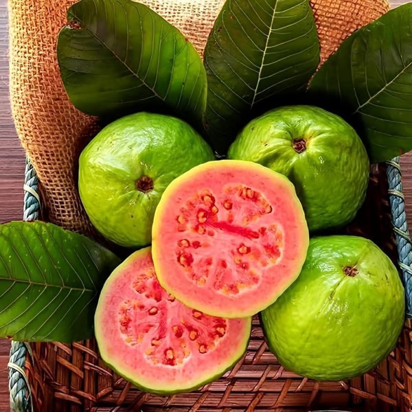 🔥 (New Harvest) Organic Pink Guava Seeds | 🌿Pre-Primed for High Germination (99% Germination)