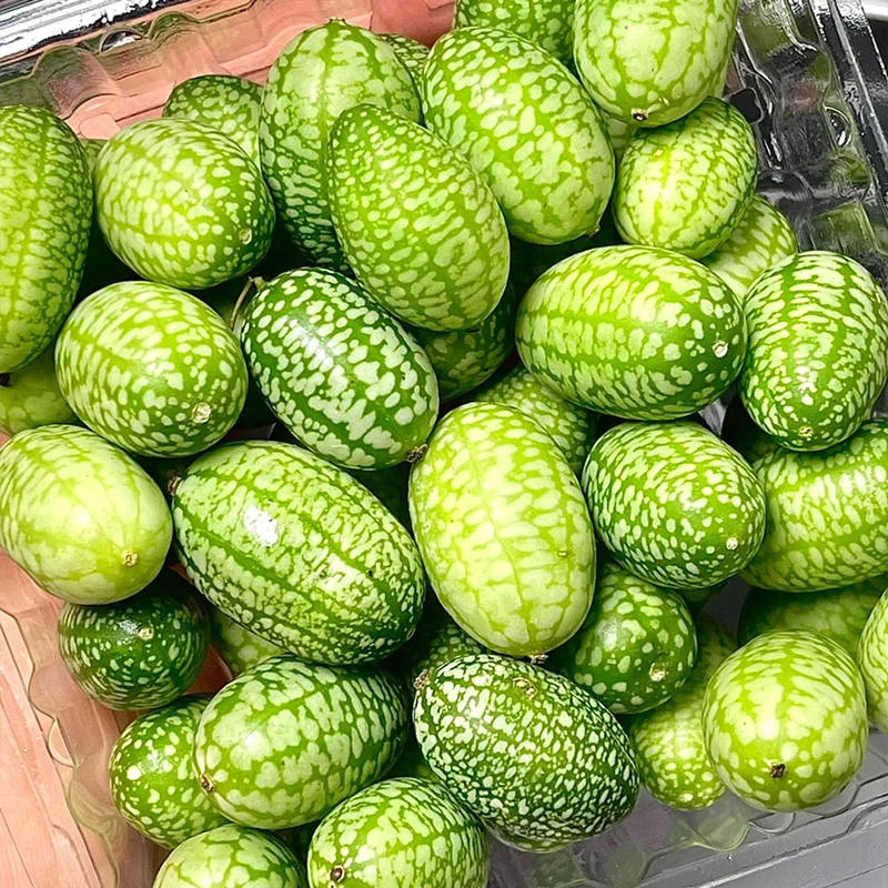 Zwergmelone