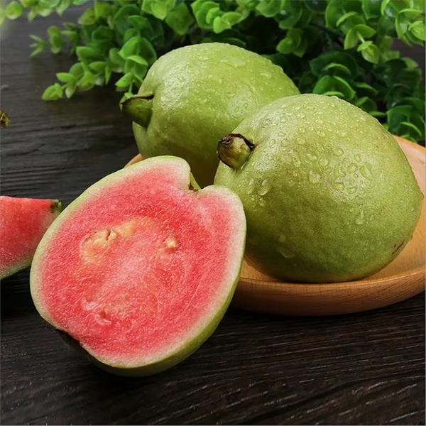 🔥 (New Harvest) Organic Pink Guava Seeds | 🌿Pre-Primed for High Germination (99% Germination)
