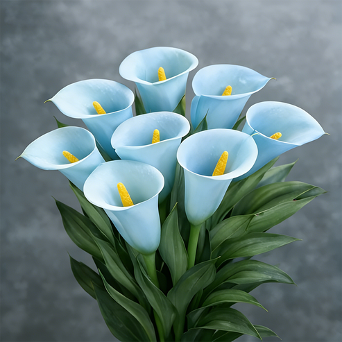 🌷Mysterious Aurora Calla Lily