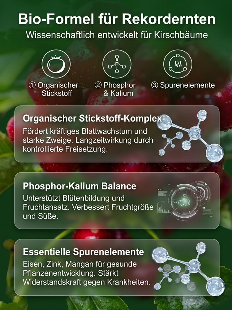RAINIER-KIRSCHFRUCHTSAMEN (🪴KAUFEN SIE 4 UND ERHALTEN SIE 1 GRATIS🌿KANN IM WINTER GEPFLANZT WERDEN)