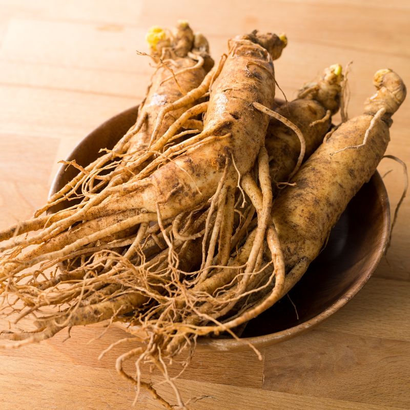 🫚Ginseng seeds - Available for planting in the 2024 winter season!