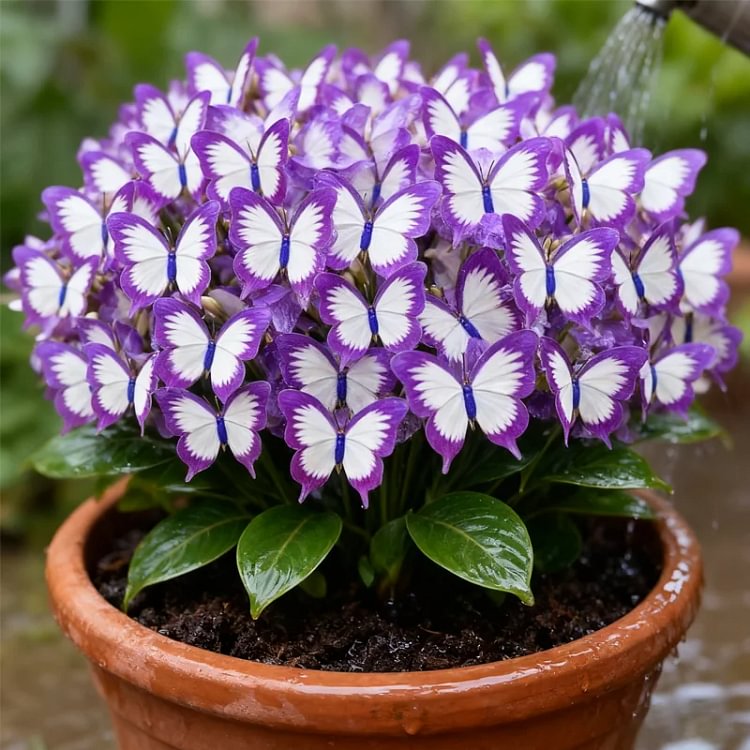 🦋🌈 Verspielte Schmetterlingsblumen – Ein Farbrausch in jedem Blütenblatt! 🌸