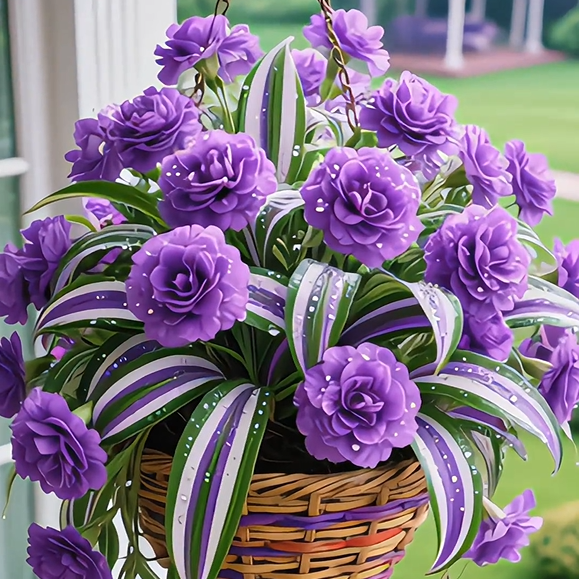 💐Four Seasons Ornamental Oil Painting Wedding Orchid Seeds—Dream, Hope and Eternity