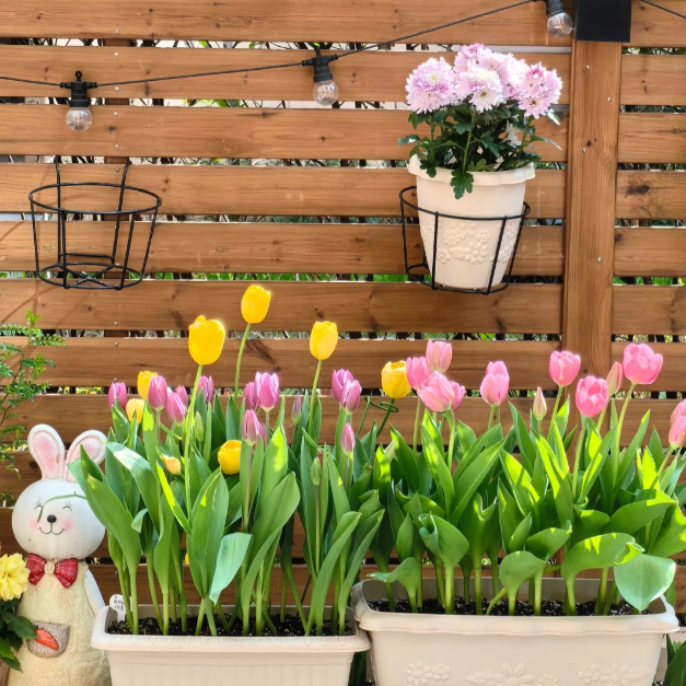 🌷🔥30 % Rabatt am letzten Tag - 🌷Mehrfarbige Tulpenmischung