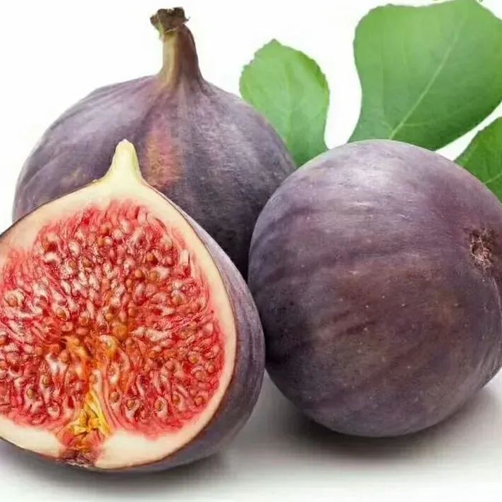 🍑Super Giant Fig Tree Seeds - The Sweetness of a Peach in Every Bite! 🌟