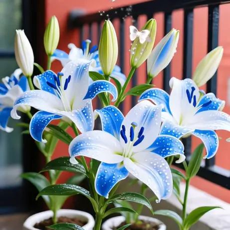 🌺Parfümlilienzwiebeln – frisch und süß