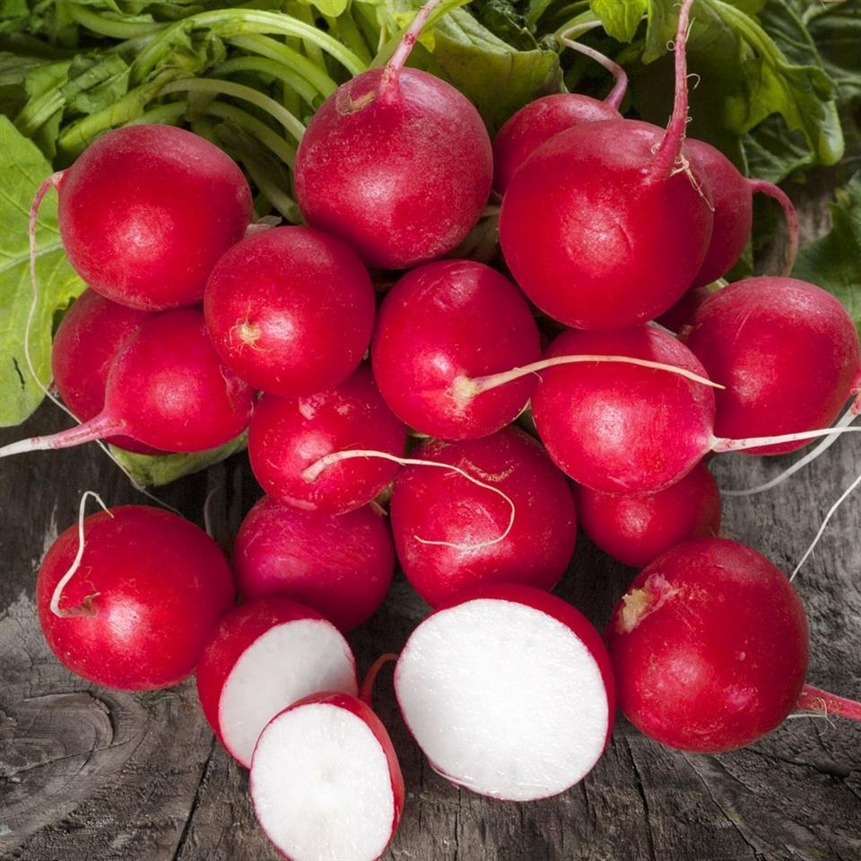 20 Day Miracle Grow Organic Cherry Radish🍒