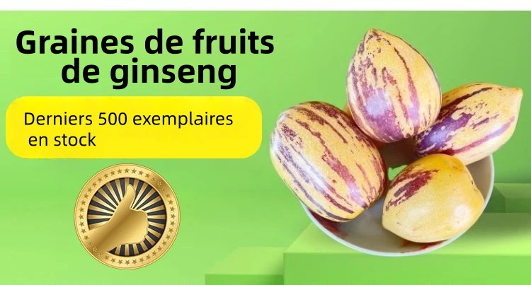 🎁30% de Réduction🍐🍐Graines De Pepinos (Melon Poire)