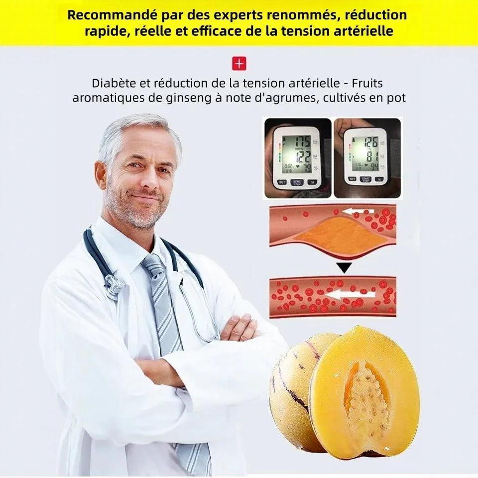 🎁30% de Réduction🍐🍐Graines De Pepinos (Melon Poire)