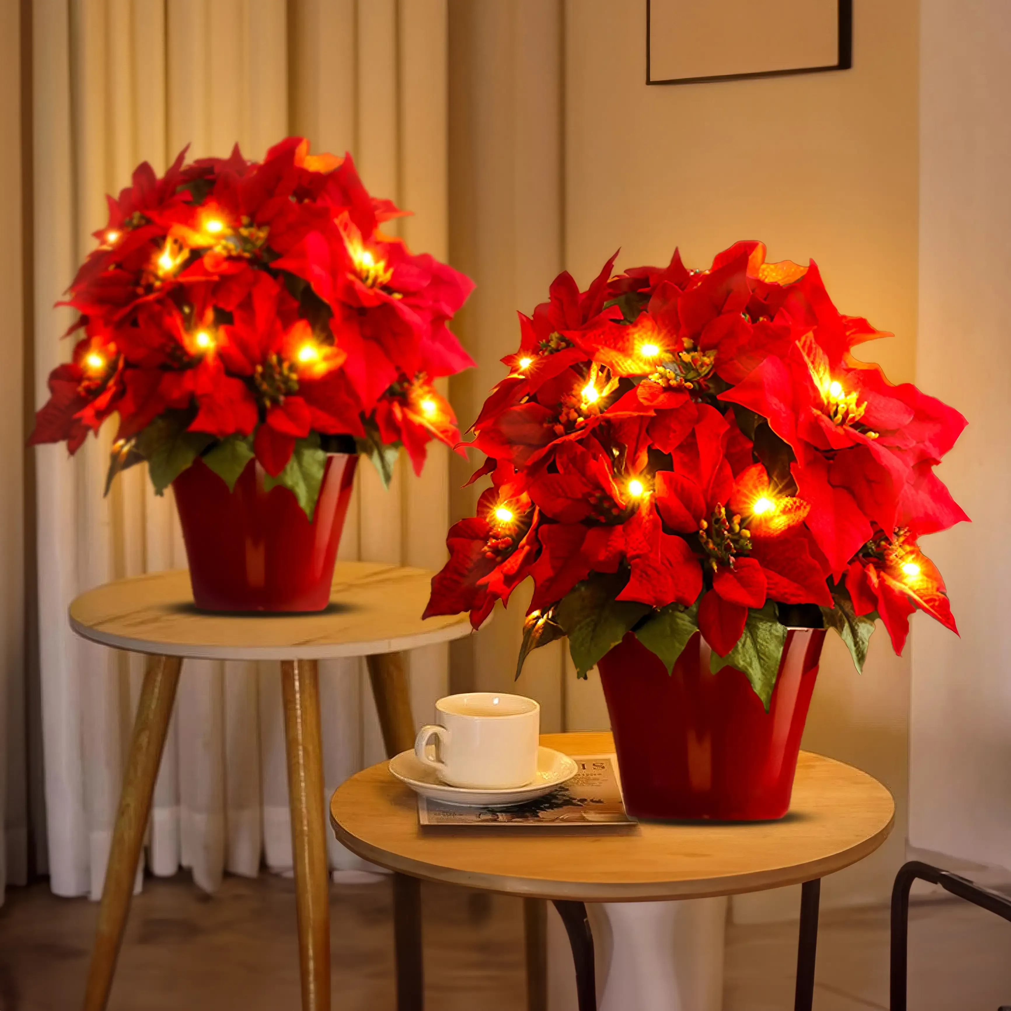 Radiant Ruby Poinsettia