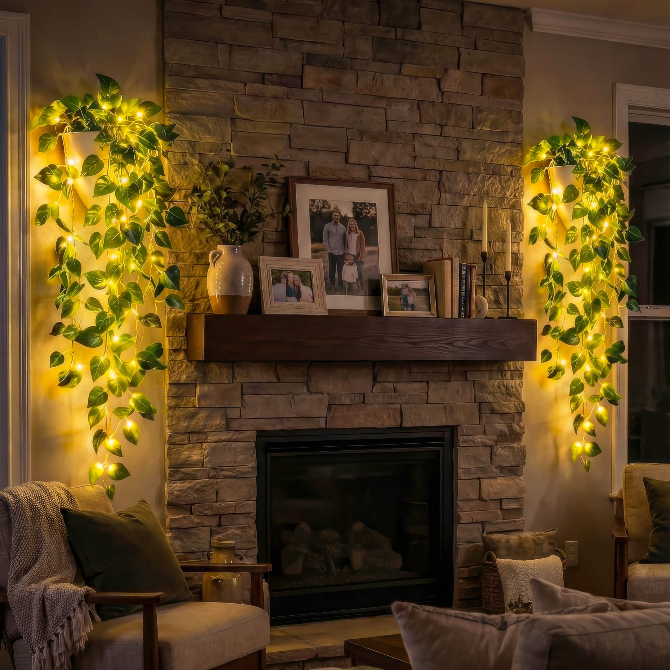 Fairy Light Olive Vine