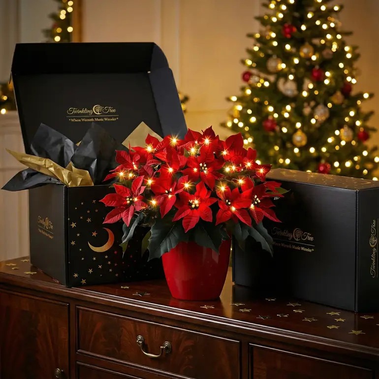 Radiant Ruby Poinsettia