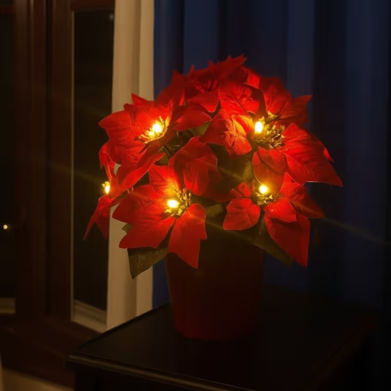 Radiant Ruby Poinsettia