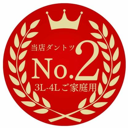 毎年大人気 土佐文旦 訳あり 4L～3Lサイズ 特大 超大玉がズッシリ 高知産 送料無料デカい旨い特大・土佐文旦10kg見た目訳あり中身は極高知の特大 土佐文旦のプリップリ果肉を堪能 家庭用 高知県 10キロ産直龍馬くん ※北海道・沖縄別途送料・離島配送不可
