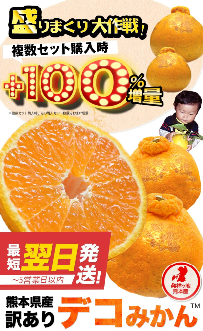 おまけ＋１００％増量 熊本県産 デコみかん 訳あり 1.5kg 送料無料 最短翌日出荷 2セット以上購入でおまけ増量 デコポン と同品種 不知火 みかん ミカン 熊本 柑橘 くまもと風土 買い回り 《1-5営業日以内に発送予定》