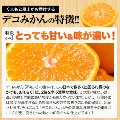 おまけ＋１００％増量 熊本県産 デコみかん 訳あり 1.5kg 送料無料 最短翌日出荷 2セット以上購入でおまけ増量 デコポン と同品種 不知火 みかん ミカン 熊本 柑橘 くまもと風土 買い回り 《1-5営業日以内に発送予定》