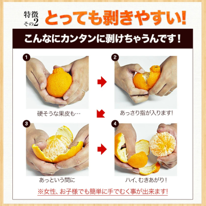 おまけ＋１００％増量 熊本県産 デコみかん 訳あり 1.5kg 送料無料 最短翌日出荷 2セット以上購入でおまけ増量 デコポン と同品種 不知火 みかん ミカン 熊本 柑橘 くまもと風土 買い回り 《1-5営業日以内に発送予定》