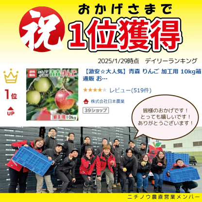 青森県産 加工用 りんご10,20kg 送料無料 激安 品種おまかせ 産地直送 訳ありりんご