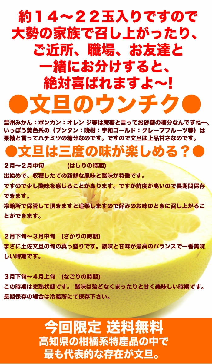 毎年大人気 土佐文旦 訳あり 4L～3Lサイズ 特大 超大玉がズッシリ 高知産 送料無料デカい旨い特大・土佐文旦10kg見た目訳あり中身は極高知の特大 土佐文旦のプリップリ果肉を堪能 家庭用 高知県 10キロ産直龍馬くん ※北海道・沖縄別途送料・離島配送不可