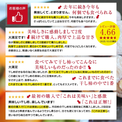 市田柿 干し柿 500g ご自宅用 長野県産 新物 | 柿 干柿 ほしがき 渋柿 訳あり 訳有り お徳用 お得用 お取り寄せ 果物 フルーツ 高糖度 ドライフルーツ 長野 お土産 冬 ギフト 産地直送 お菓子 和菓子 食品 おいしい 自然食品 GIマーク認証 2026