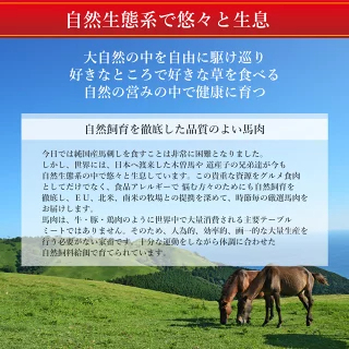馬刺し 【祝★グルメ大賞8年受賞！クーポンあり】 ヘルシー 赤身 バレンタイン 甘くない 甘いものが苦手 大人用 ギフト 父の日ギフト 2026 馬刺 馬肉 グルメ おつまみ お肉 プレゼント 食べ物 父誕生日 実用的 お取り寄せグルメ おつまみセット 食品 父 誕生日 若丸