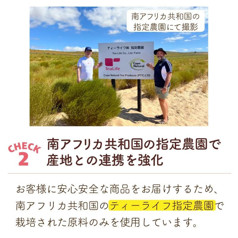 【エントリーP10倍】《圧倒的レビュー数＆高評価》選べるルイボスティー 6種類 大容量 黒豆ルイボスティー よくばりブレンド グリーンルイボスティー オーガニック 希釈タイプ 200ml ノンカフェイン 101包 100包 お得《ランキング受賞》