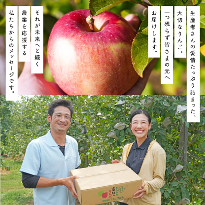 青森県産 加工用 りんご10,20kg 送料無料 激安 品種おまかせ 産地直送 訳ありりんご