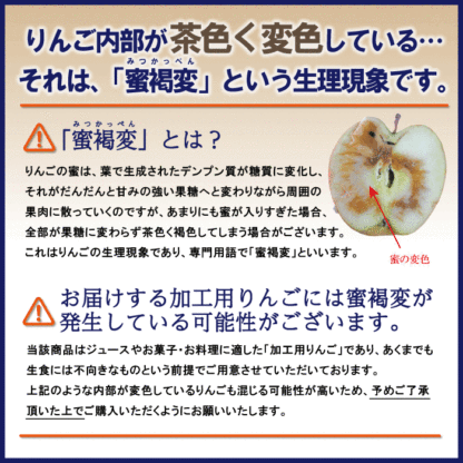 青森県産 加工用 りんご10,20kg 送料無料 激安 品種おまかせ 産地直送 訳ありりんご