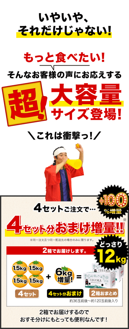 おまけ＋１００％増量 熊本県産 デコみかん 訳あり 1.5kg 送料無料 最短翌日出荷 2セット以上購入でおまけ増量 デコポン と同品種 不知火 みかん ミカン 熊本 柑橘 くまもと風土 買い回り 《1-5営業日以内に発送予定》