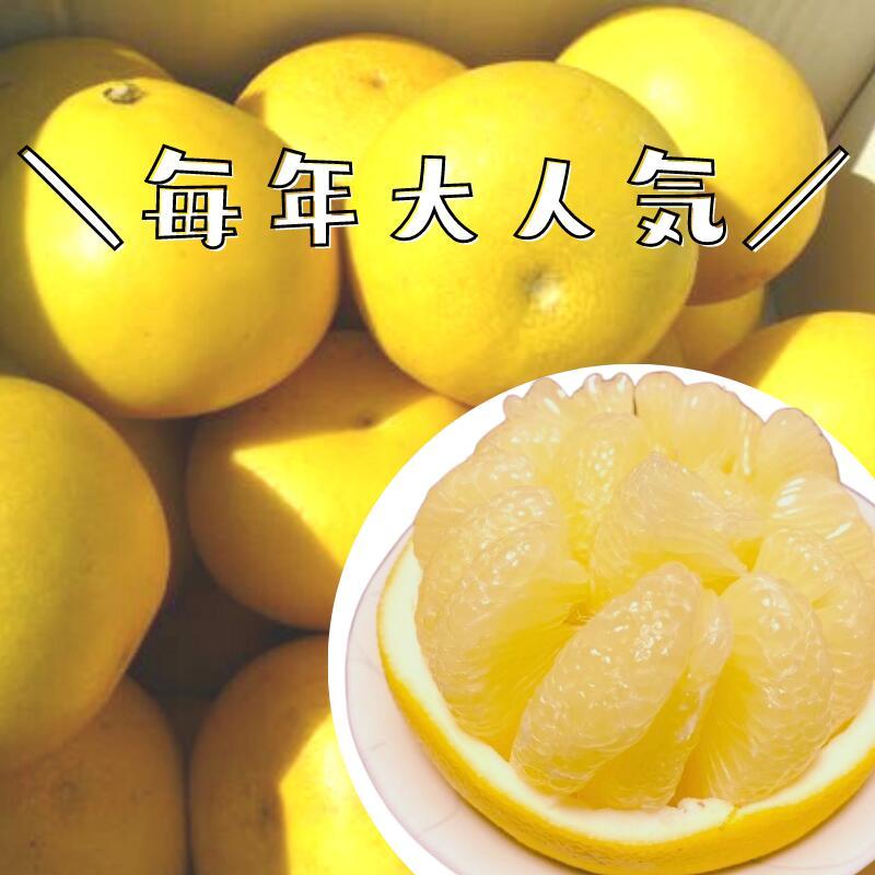 高知産 土佐文旦 約１０ｋｇ２０～３０玉入り 訳あり家庭用ぶんたんブンタン＜LINE初回登録で100円オフ＞ 沖縄本土と北海道は別途送料 全国の離島は発送不可