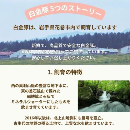 ＼半額／【限定2,000個】2月決算セール開催中！ ☆ 送料無料・冷蔵配送 【 白金豚 メガ盛り 3kg 万能 スライス 小間 500g 6パック 】 国産 切り落とし 豚こま 小分け 大容量 岩手県産 豚肉 プラチナポーク ブランド豚 お取り寄せ グルメ