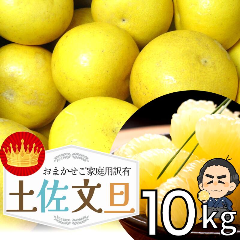 高知産 土佐文旦 約１０ｋｇ２０～３０玉入り 訳あり家庭用ぶんたんブンタン＜LINE初回登録で100円オフ＞ 沖縄本土と北海道は別途送料 全国の離島は発送不可