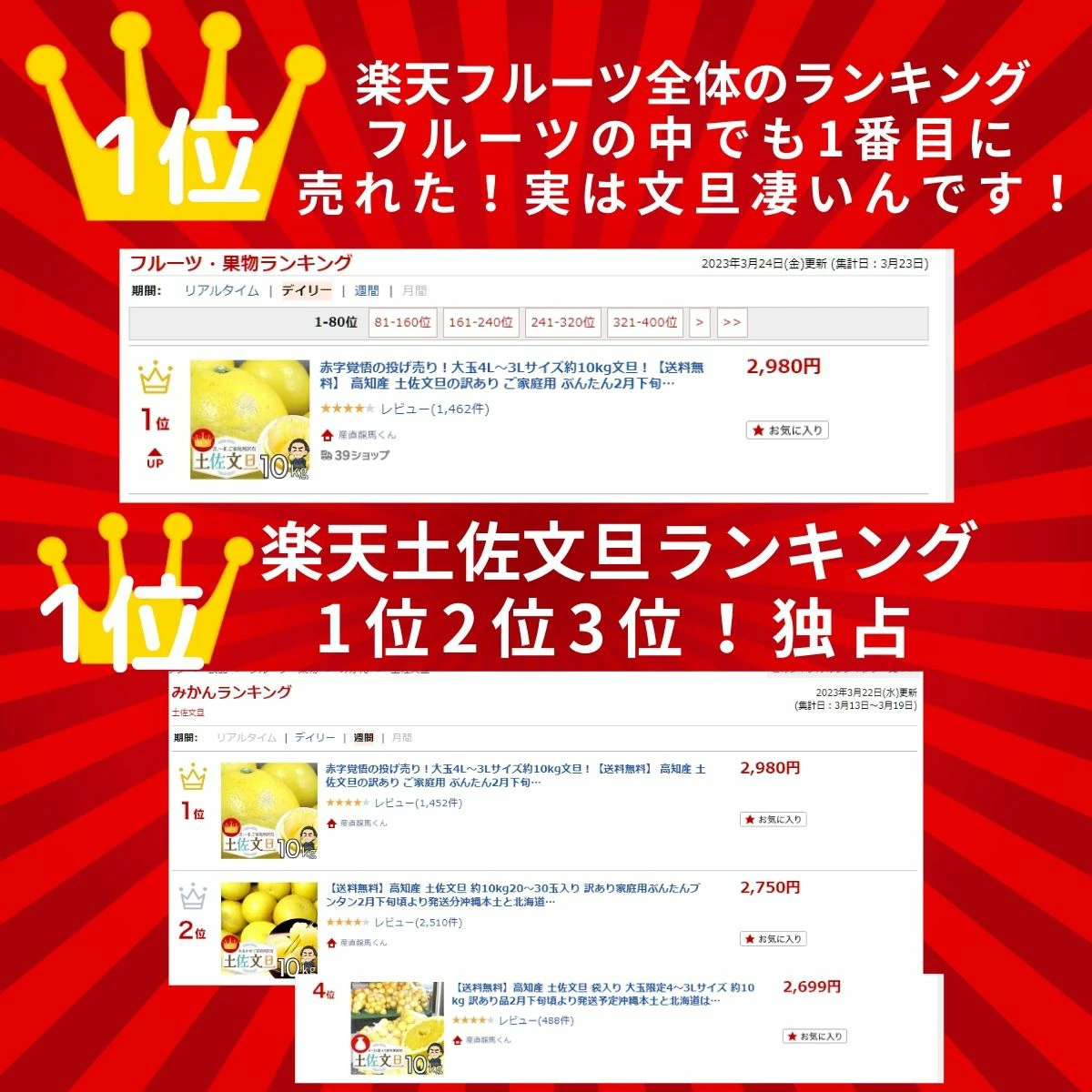 毎年大人気 土佐文旦 訳あり 4L～3Lサイズ 特大 超大玉がズッシリ 高知産 送料無料デカい旨い特大・土佐文旦10kg見た目訳あり中身は極高知の特大 土佐文旦のプリップリ果肉を堪能 家庭用 高知県 10キロ産直龍馬くん ※北海道・沖縄別途送料・離島配送不可