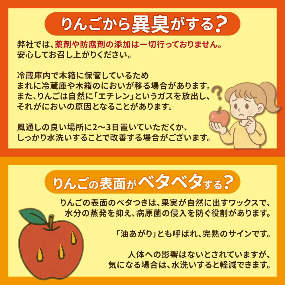 青森県産 加工用 りんご10,20kg 送料無料 激安 品種おまかせ 産地直送 訳ありりんご