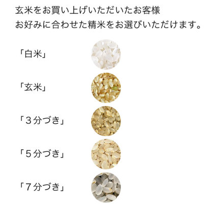 SALE PRICE DOWN ポイント2倍 令和7年産 北海道産 ゆめぴりか 玄米 30kg (5kg×6袋セット) ＜玄米／白米／分づき米＞【送料無料】