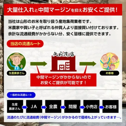 【送料無料】令和7年産山形県産はえぬき玄米30kg