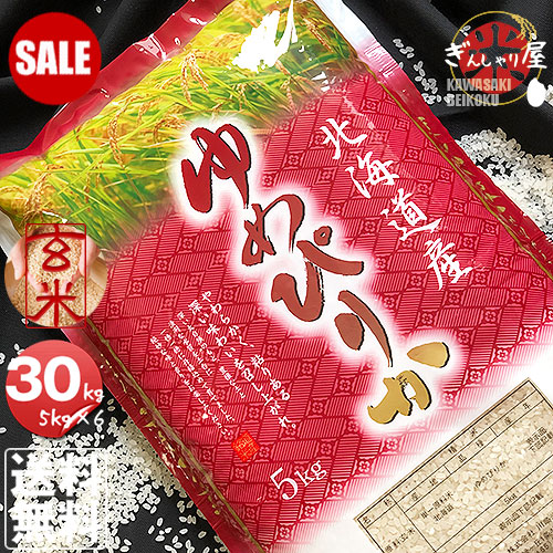 SALE PRICE DOWN ポイント2倍 令和7年産 北海道産 ゆめぴりか 玄米 30kg (5kg×6袋セット) ＜玄米／白米／分づき米＞【送料無料】