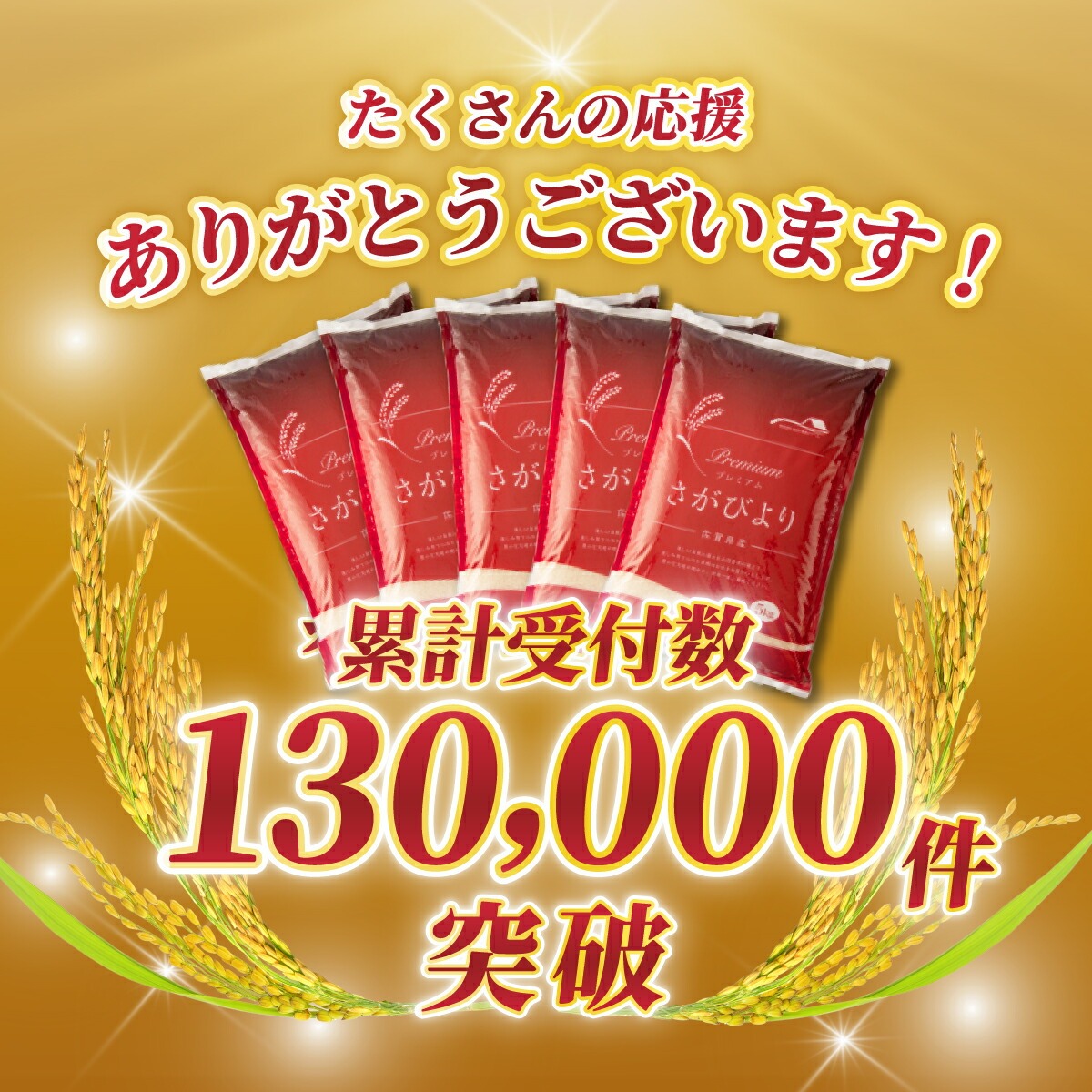 【ふるさと納税】最短3-5営業日発送★単一米★総合1位獲得★選べる発送月★特A評価15年連続 7年産 定期便 佐賀県産米 さがびより 令和 先行予約 米 お米 精米 白米 ブランド米 【選べる容量】5kg 10kg 15kg 20kg 佐賀県産 数量限定