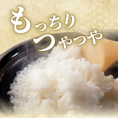 【ふるさと納税】最短3-5営業日発送★単一米★総合1位獲得★選べる発送月★特A評価15年連続 7年産 定期便 佐賀県産米 さがびより 令和 先行予約 米 お米 精米 白米 ブランド米 【選べる容量】5kg 10kg 15kg 20kg 佐賀県産 数量限定