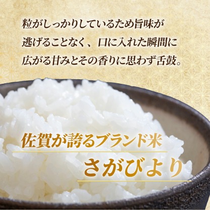 【ふるさと納税】最短3-5営業日発送★単一米★総合1位獲得★選べる発送月★特A評価15年連続 7年産 定期便 佐賀県産米 さがびより 令和 先行予約 米 お米 精米 白米 ブランド米 【選べる容量】5kg 10kg 15kg 20kg 佐賀県産 数量限定