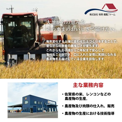 【ふるさと納税】最短3-5営業日発送★単一米★総合1位獲得★選べる発送月★特A評価15年連続 7年産 定期便 佐賀県産米 さがびより 令和 先行予約 米 お米 精米 白米 ブランド米 【選べる容量】5kg 10kg 15kg 20kg 佐賀県産 数量限定