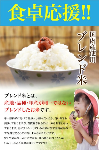 ブレンド米 10kg 国内産複数原料米 白米