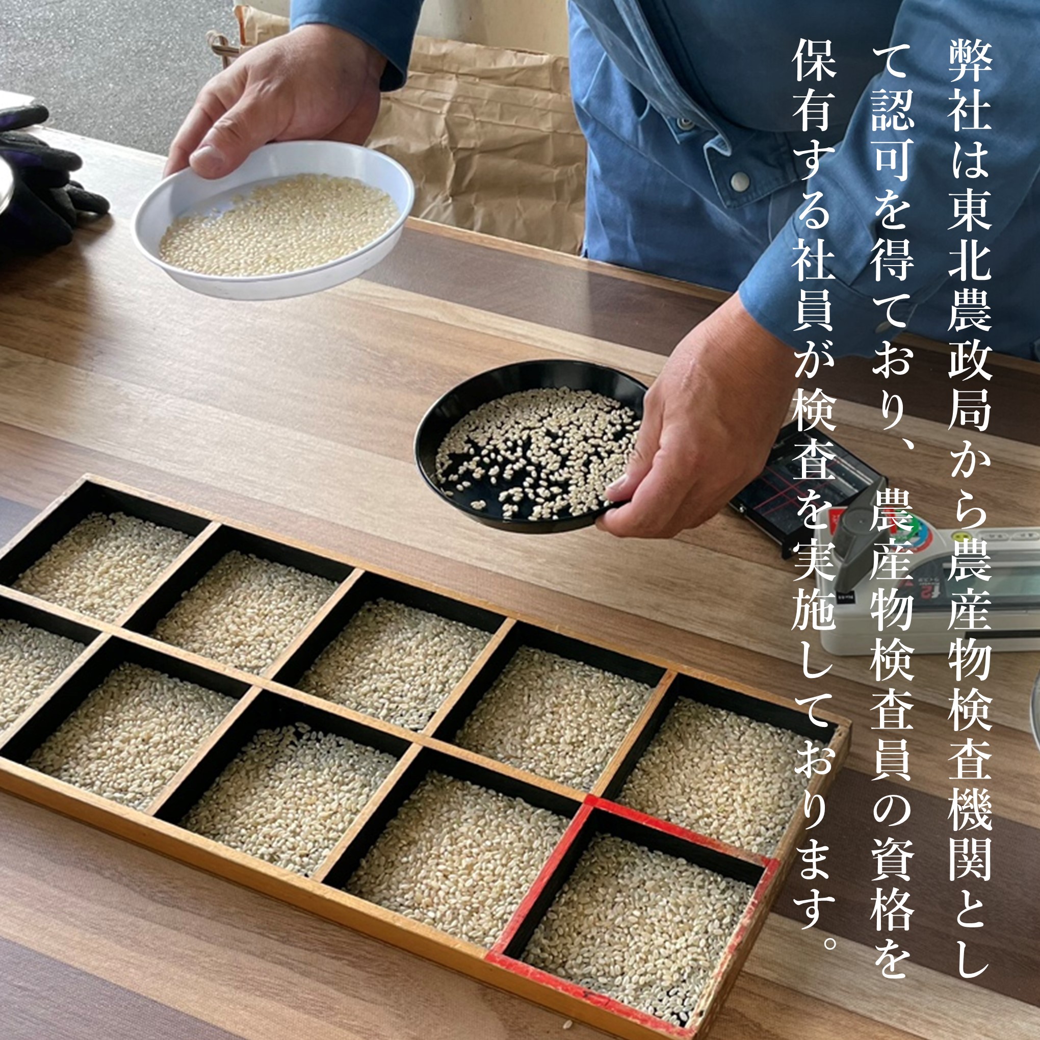 令和7年産 はえぬき 10kg 5kg×2袋 お米 白米 山形県産 送料無料