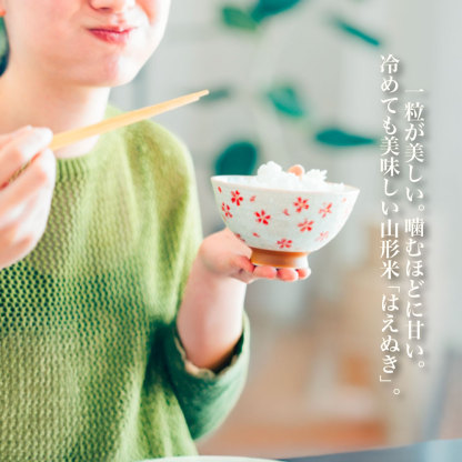 令和7年産 はえぬき 10kg 5kg×2袋 お米 白米 山形県産 送料無料